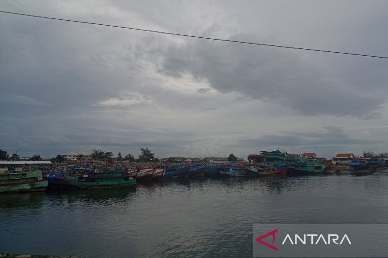 Mengapa TPI PPS Cilacap Jadi Pilihan Utama Layanan Bisnis Lokal?